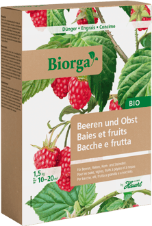 Ein Sack mit Dünger für Beeren und Obst