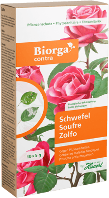 Ein Karton mit Dünger für die Anwendung bei Pilzkrankheiten an Beeren, Obst und Zierpflanzen