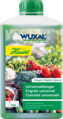 Eine Flasche mit Flüssigdünger für Garten, Gemüse und Balkon