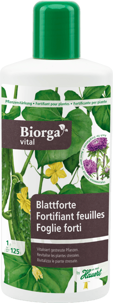 Eine Flasche mit Flüssigdünger für die Förderung der Blattgesundheit
