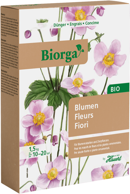 Ein Karton mit Dünger für alle Blumenrabatten, Sommerblumen und Blütenstauden