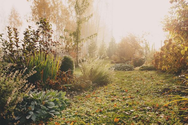 Garten im Spätherbst oder im Winter.