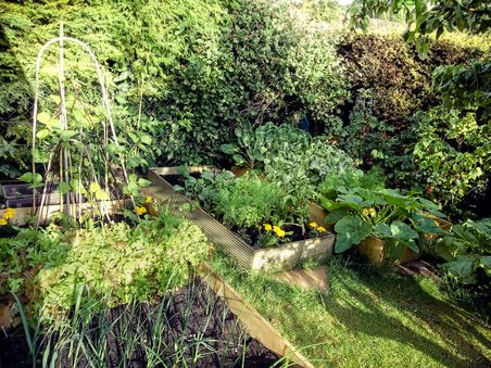 Kleiner Gemüsegarten mit eingefassten Beeten, von Hecken umgeben.