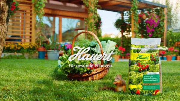Still aus TV-Spot 2020, Schlussbild, eine Packung Gartensegen steht neben einem Gemüsekorb und dem Eichhörnchen auf dem Rasen. Weisses Hauert-Logo als Psd-Ebene, ein-/ausblendbar – mit zwei Platzierungsoptionen für Mobile (Quadrat und Hochformat).
