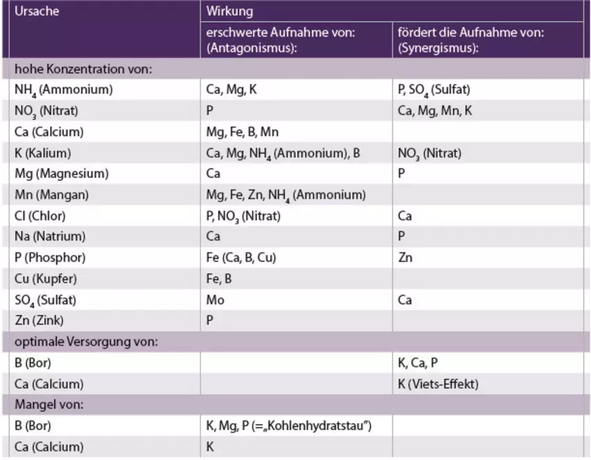 csm_1.2.2.25_Die_wichtigsten_Wechselwirkungen_der_Naehrstoffaufnahme__ueber_Boden__d04181c481.webp