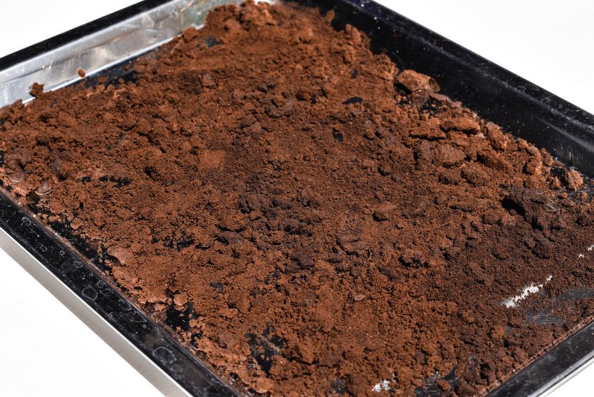 Kaffeesatz im Garten verwenden: so gehts | HAUERT Dnger