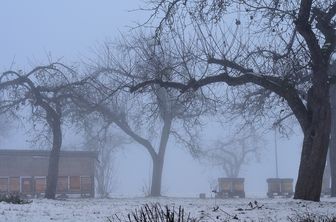 Imkereigarten im Winter mit Bienenstöcken