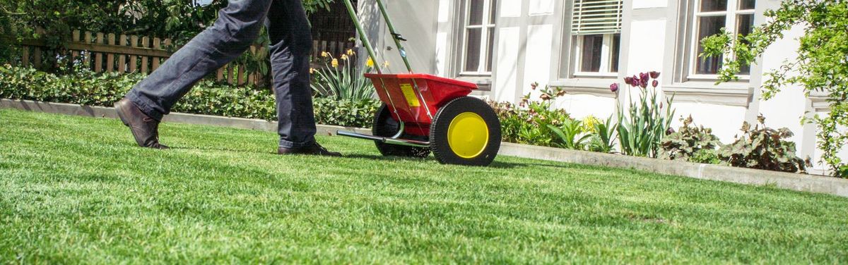 So pflegt man den Rasen im Frhling | HAUERT