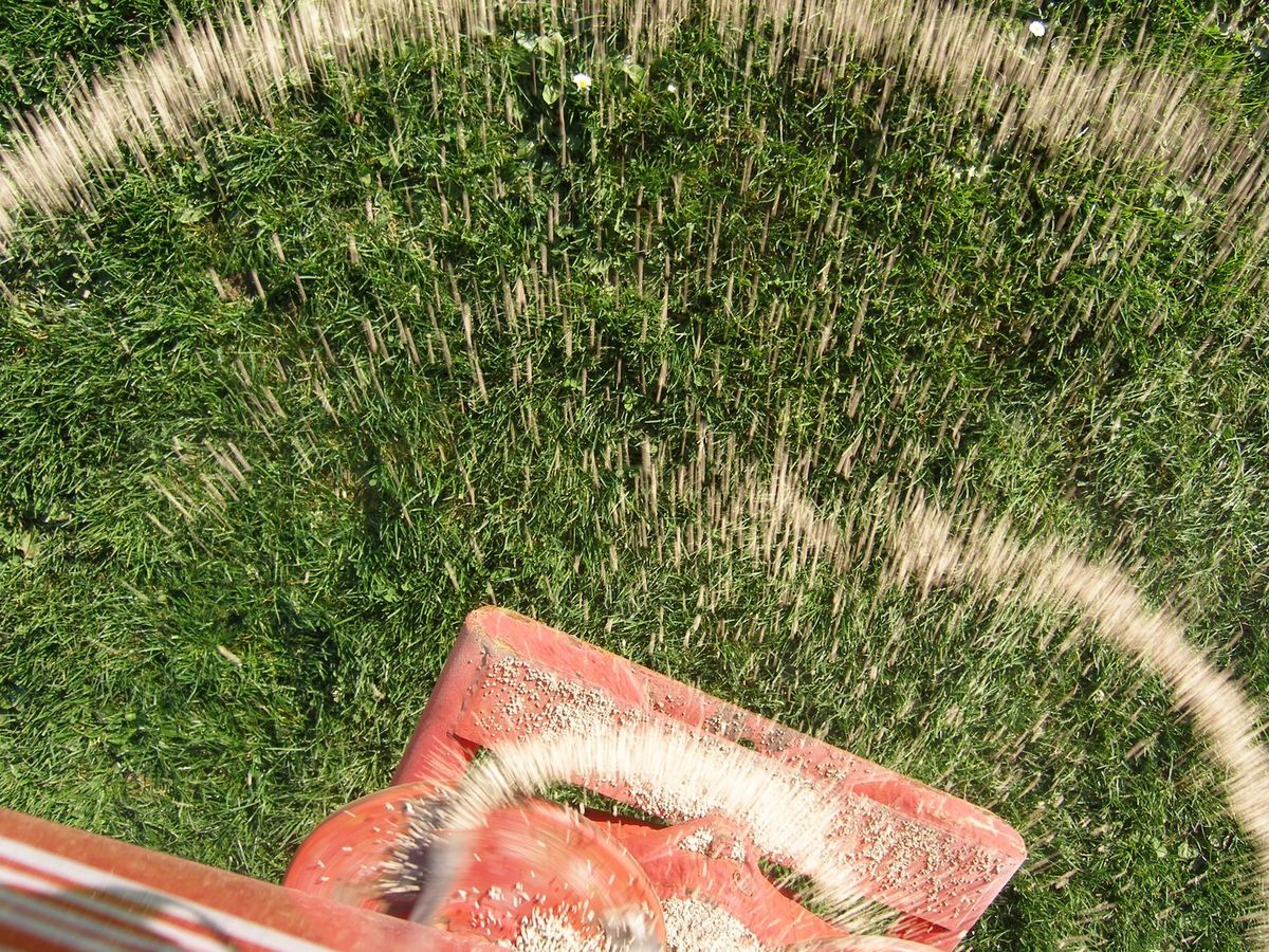 kalium dünger rasen herbst Herbst- & Kalium-Rasendünger – SUPERGREEN