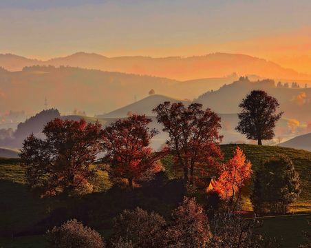 Schweizer Landschaft im Herbst