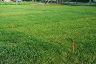 Rasenversuchsfeld in Grossaffoltern. Orange abgesteckte Abschnitte, die zeigen, wo Düngung und Bodenaufbau wechseln.