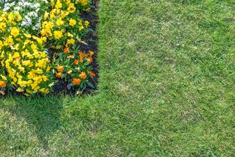 Correctly Levelling The Edges Of The Lawn