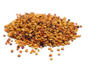 Pollen_weisser Hintergrund_trocken