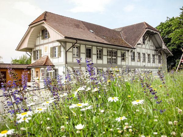 Bürogebäude, Firmensitz von Hauert HBG Dünger AG in Grossaffoltern mit Blumenwiese im Vordergrund, um 2008.
(Digitalfoto: 3.04_Bürogebäude 03)