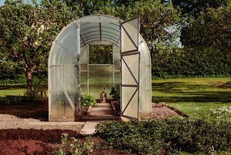 Polycarbonat-Gewächshaus im Garten für den Anbau Ihrer eigenen frischen Lebensmittel mit Türen offen und eine Tränkdose in der Mitte im späten Nachmittagslicht. Kompakte DIY-Lösung für Gärten