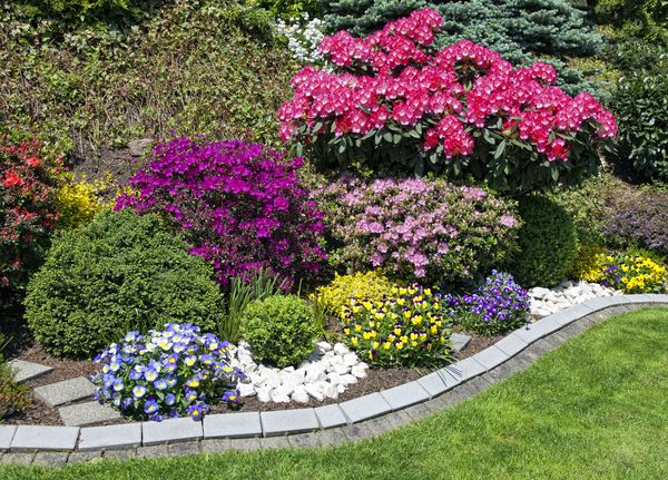 Blumenrabatten mit Rasenstreifen. Bäume und Sträucher im Hintergrund.