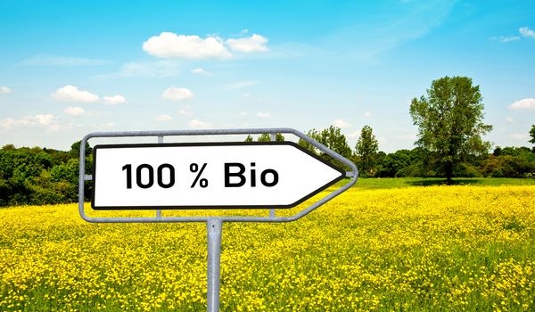 Auf einem weissen Wegweiser steht: «100 % Bio». Im Hintergrund ist eine grüne Wiese mit gelben Blumen und einigen Bäumen. Der Himmel ist hellblau, einige weisse Wolken sind zu sehen.