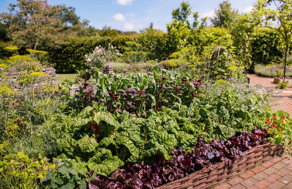 Gemüsegarten Ideensammlung