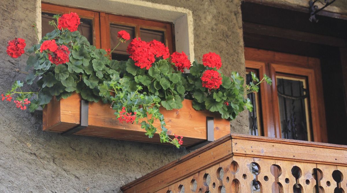 Balcon fleuri : notre guide sur les jardinières