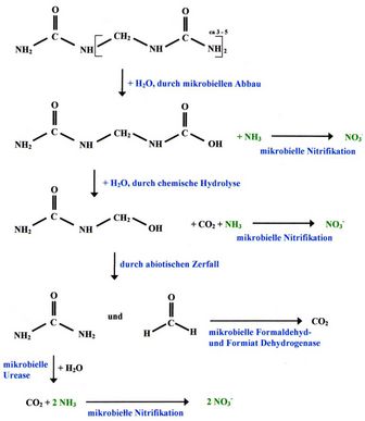Diagramm zeigt schematisch den Abbau von Methylenharnstoff im Boden.