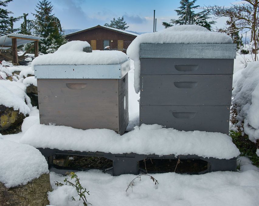 Winter_Bienenstock_Schnee_Garten_Imkerei Bienenstock im Winter