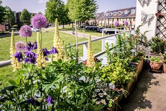 Städischer Balkon mit verschiedenen Zierblumen.