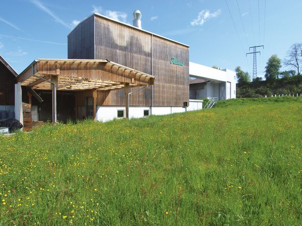 Das Fabrik-Gebäude von aussen fotografiert, viel Gras und blauer Himmel.