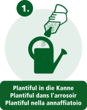 Schritt 1: Plantiful in die Kanne